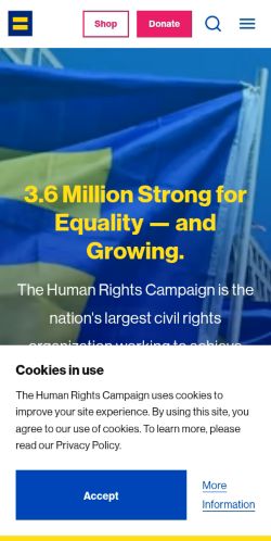 Screenshot of the audited page (Mobile 375×812)