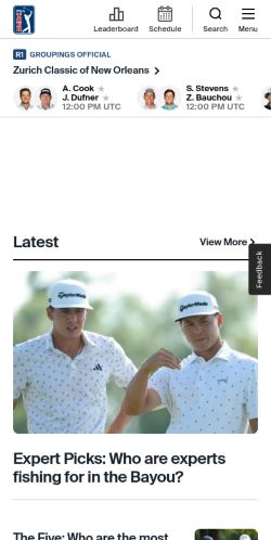 Screenshot of the audited page (Mobile 375×812)