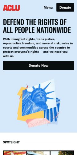 Screenshot of the audited page (Mobile 375×812)