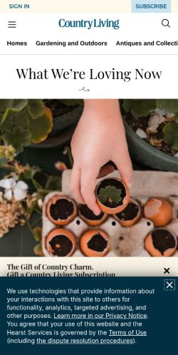 Screenshot of the audited page (Mobile 375×812)