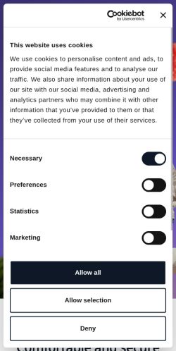 Screenshot of the audited page (Mobile 375×812)