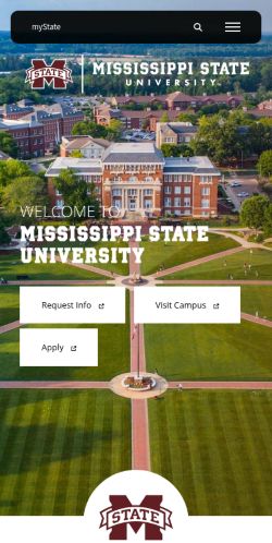Screenshot of the audited page (Mobile 375×812)
