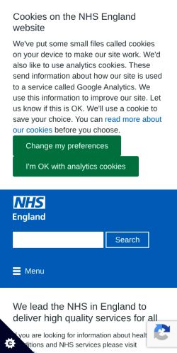 Screenshot of the audited page (Mobile 375×812)