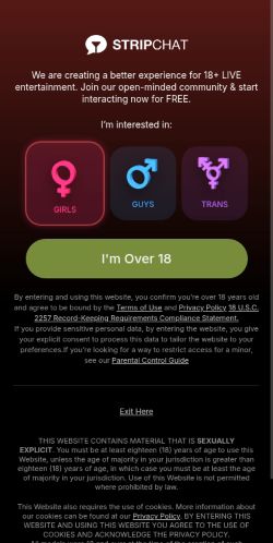 Screenshot of the audited page (Mobile 375×812)