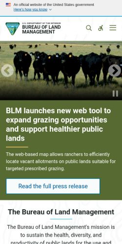 Screenshot of the audited page (Mobile 375×812)