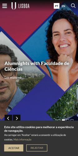 Screenshot of the audited page (Mobile 375×812)