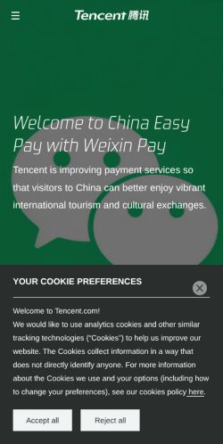 Screenshot of the audited page (Mobile 375×812)