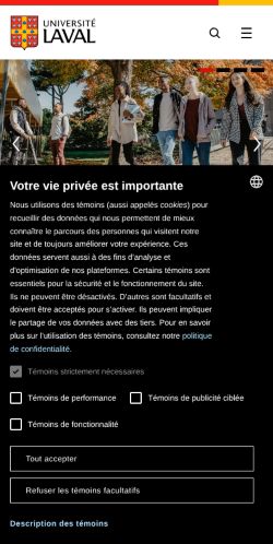 Screenshot of the audited page (Mobile 375×812)