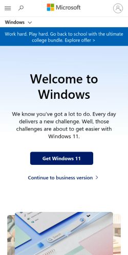 Screenshot of the audited page (Mobile 375×812)