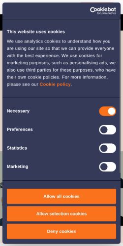 Screenshot of the audited page (Mobile 375×812)