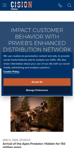 Screenshot of the audited page (Mobile 375×812)