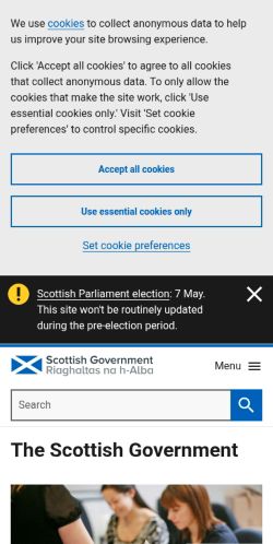 Screenshot of the audited page (Mobile 375×812)