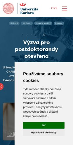 Screenshot of the audited page (Mobile 375×812)