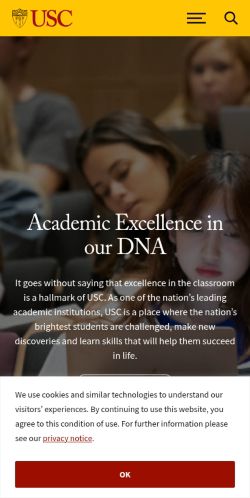 Screenshot of the audited page (Mobile 375×812)