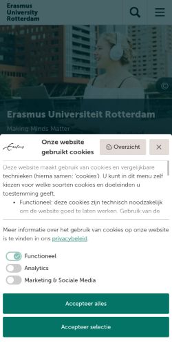 Screenshot of the audited page (Mobile 375×812)