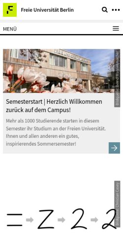 Screenshot of the audited page (Mobile 375×812)