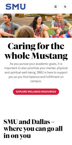 Screenshot of the audited page (Mobile 375×812)