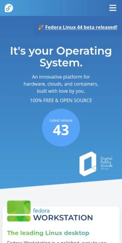 Screenshot of the audited page (Mobile 375×812)