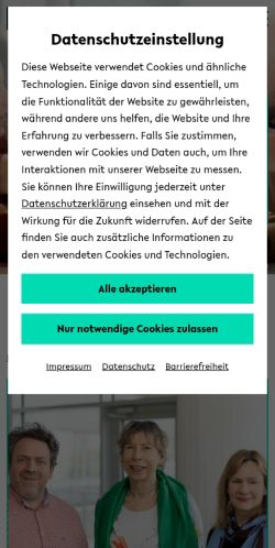Screenshot of the audited page (Mobile 375×812)