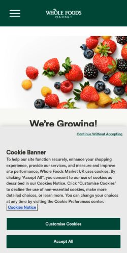Screenshot of the audited page (Mobile 375×812)