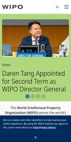 Screenshot of the audited page (Mobile 375×812)