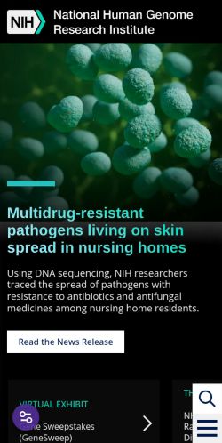 Screenshot of the audited page (Mobile 375×812)