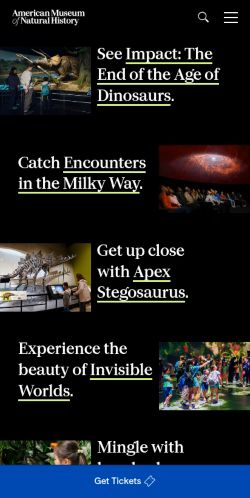 Screenshot of the audited page (Mobile 375×812)