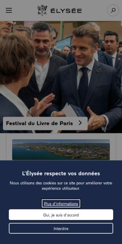 Screenshot of the audited page (Mobile 375×812)