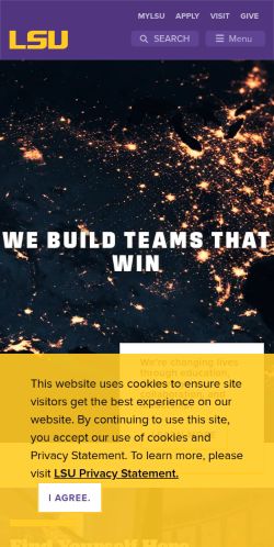 Screenshot of the audited page (Mobile 375×812)