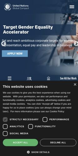 Screenshot of the audited page (Mobile 375×812)