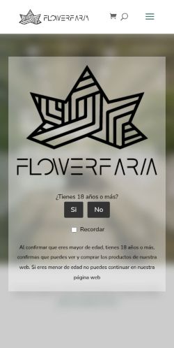 Screenshot of the audited page (Mobile 375×812)