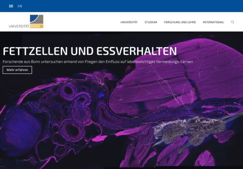 Screenshot of the audited page (Desktop 1440×900)