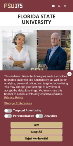 Screenshot of the audited page (Mobile 375×812)