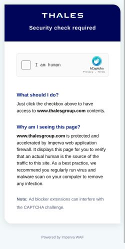 Screenshot of the audited page (Mobile 375×812)