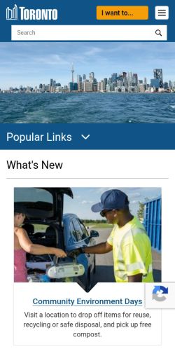 Screenshot of the audited page (Mobile 375×812)