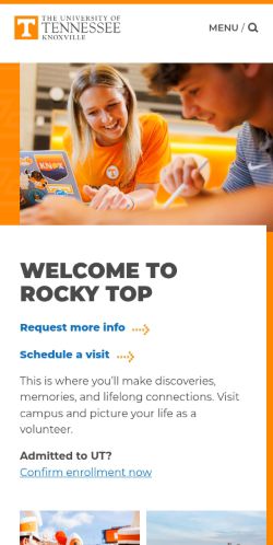 Screenshot of the audited page (Mobile 375×812)