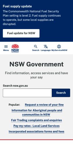 Screenshot of the audited page (Mobile 375×812)