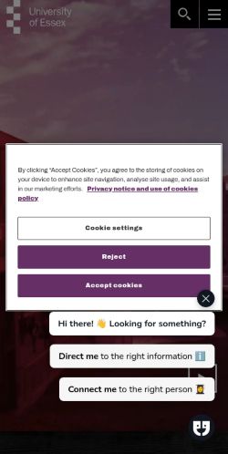 Screenshot of the audited page (Mobile 375×812)