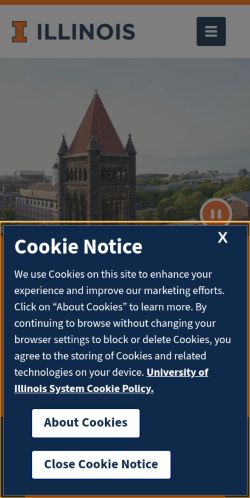 Screenshot of the audited page (Mobile 375×812)
