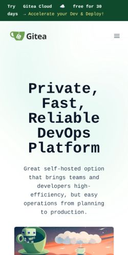 Screenshot of the audited page (Mobile 375×812)