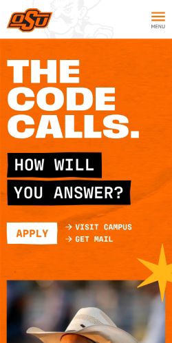 Screenshot of the audited page (Mobile 375×812)