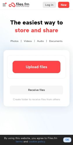 Screenshot of the audited page (Mobile 375×812)