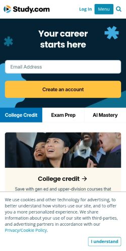 Screenshot of the audited page (Mobile 375×812)