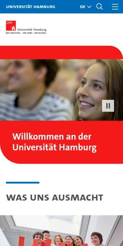 Screenshot of the audited page (Mobile 375×812)