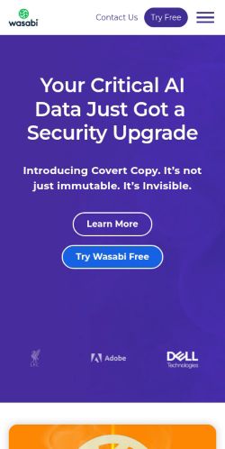 Screenshot of the audited page (Mobile 375×812)