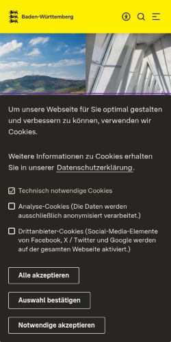 Screenshot of the audited page (Mobile 375×812)
