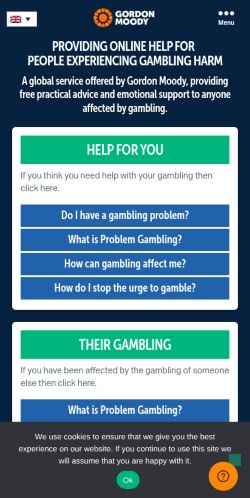 Screenshot of the audited page (Mobile 375×812)