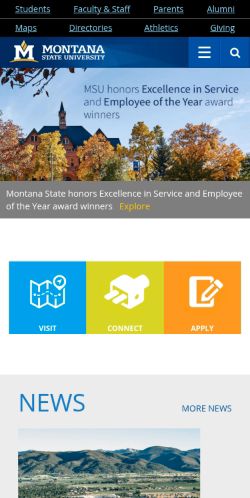 Screenshot of the audited page (Mobile 375×812)