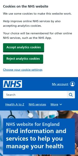 Screenshot of the audited page (Mobile 375×812)