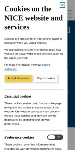 Screenshot of the audited page (Mobile 375×812)